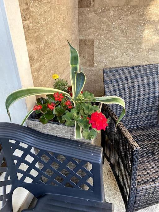 Casa Del Sole - Beautiful Studio In Varna Bulgaria公寓 外观 照片